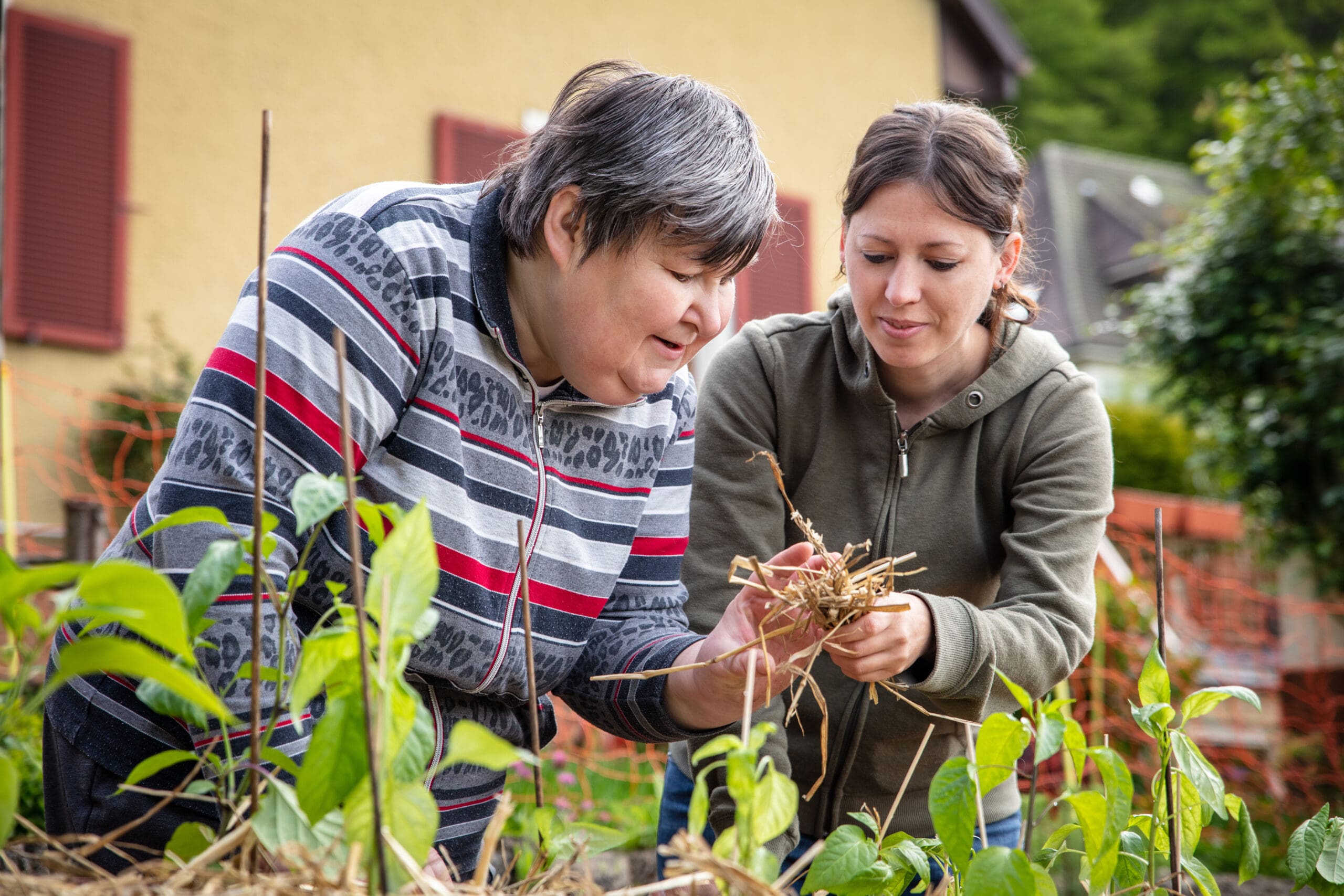 a caregiver explains to a mentally handicapped woman how to mulc A caregiver assists her consumer with gardening