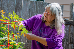 Gardening