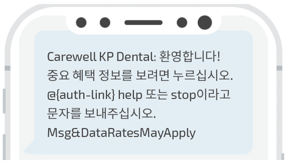 텍스트 알림 예